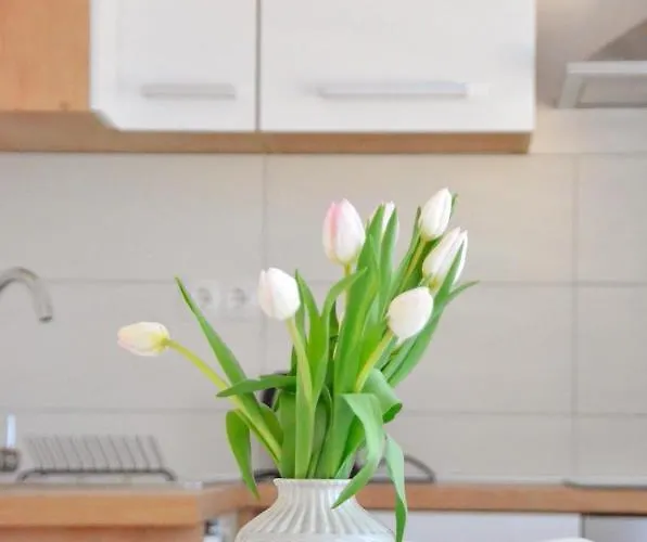 아파트 Mare 블라체